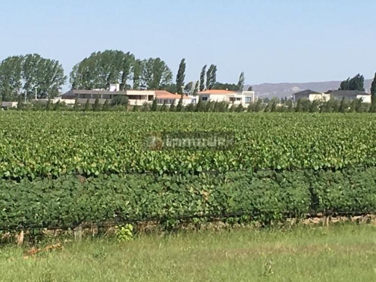 Lote en Venta en Lujan de Cuyo, Mendoza