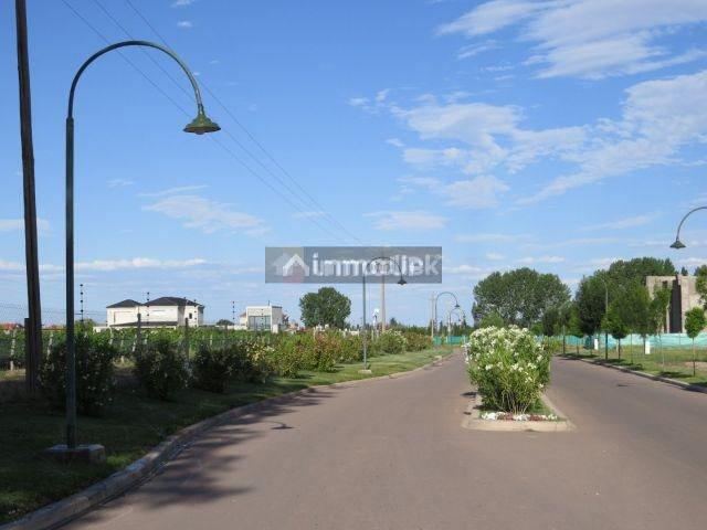 Lote en Venta en Lujan de Cuyo, Mendoza