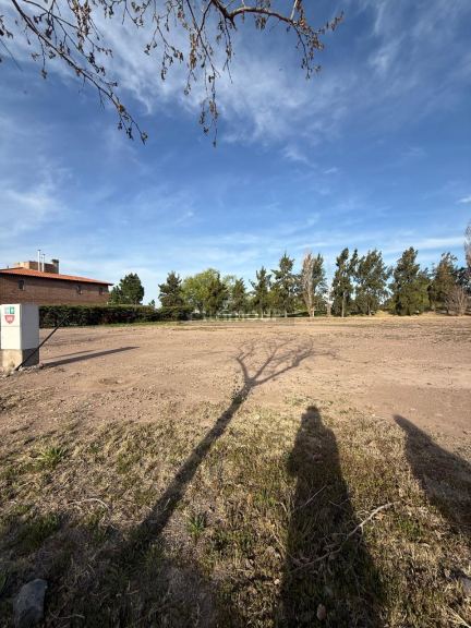 Lote en Venta en Lujan de Cuyo, Mendoza