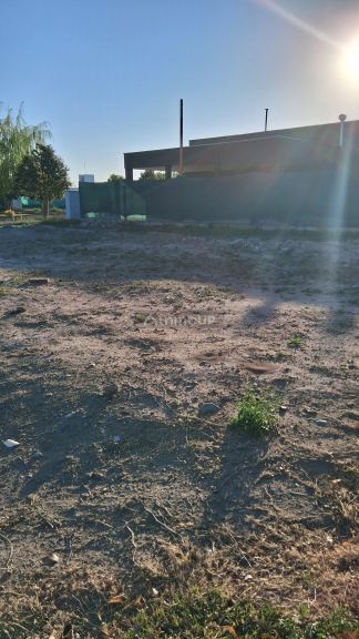 Lote en Venta en San Martin, Mendoza