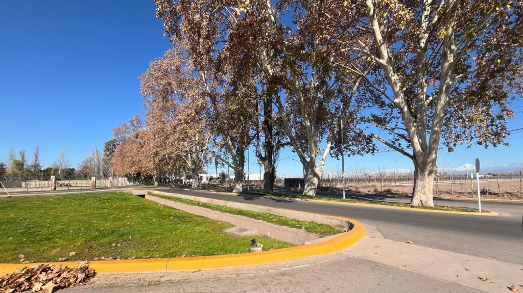 Lote en Venta en Lujan de Cuyo, Mendoza