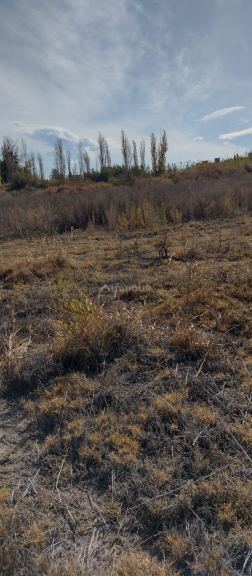 Finca en Permuta en Maipu, Mendoza