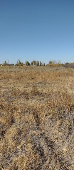 Finca en Permuta en Maipu, Mendoza