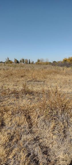 Finca en Permuta en Maipu, Mendoza