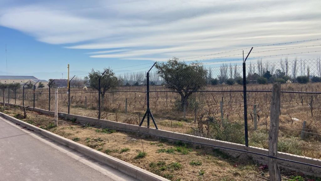 Lote en Venta en Lujan de Cuyo, Mendoza