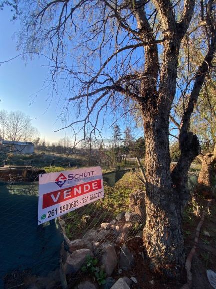 Terreno en Venta en Lujan de Cuyo, Mendoza