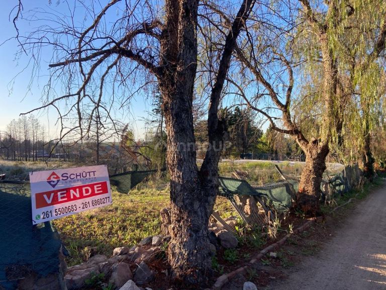 Terreno en Venta en Lujan de Cuyo, Mendoza