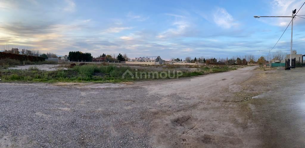 Loteo en Venta en Lujan de Cuyo, Mendoza