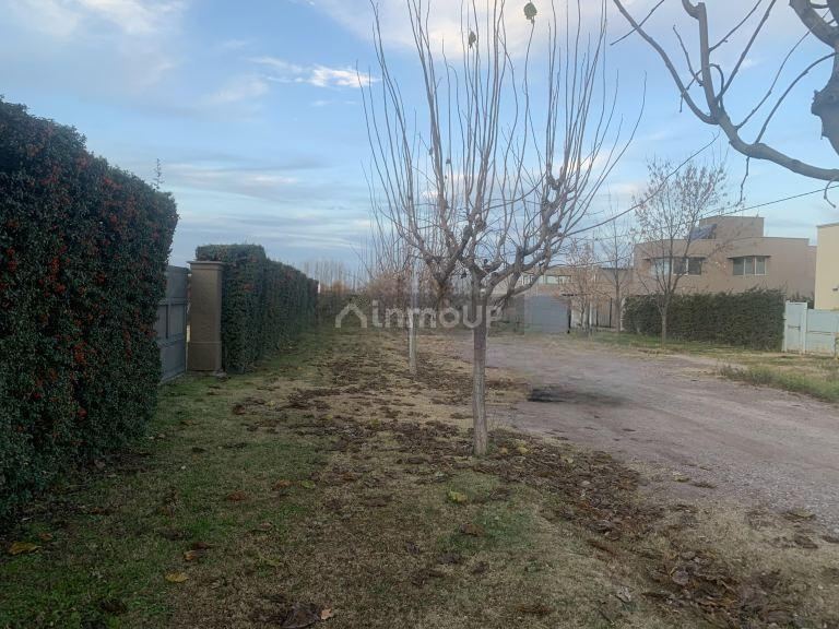 Loteo en Venta en Lujan de Cuyo, Mendoza