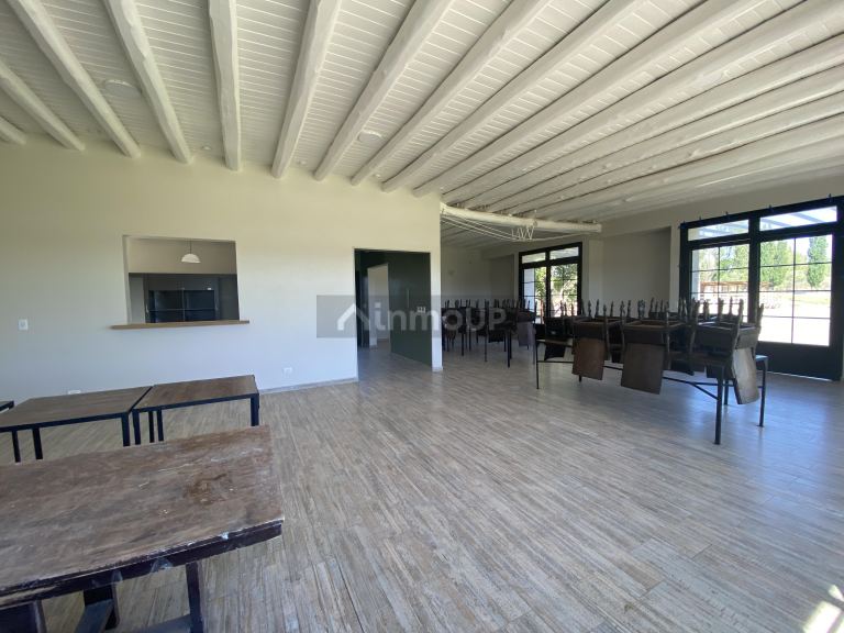 Lote en Venta en Lujan de Cuyo, Mendoza