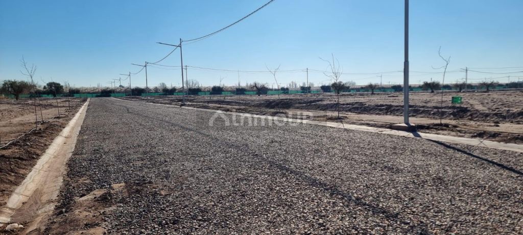 Lote en Venta en Lujan de Cuyo, Mendoza