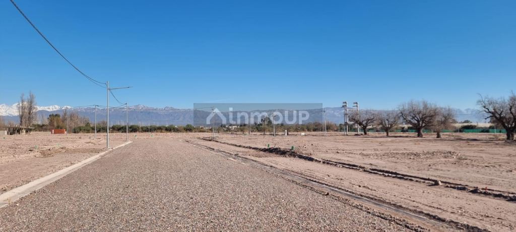 Lote en Venta en Lujan de Cuyo, Mendoza