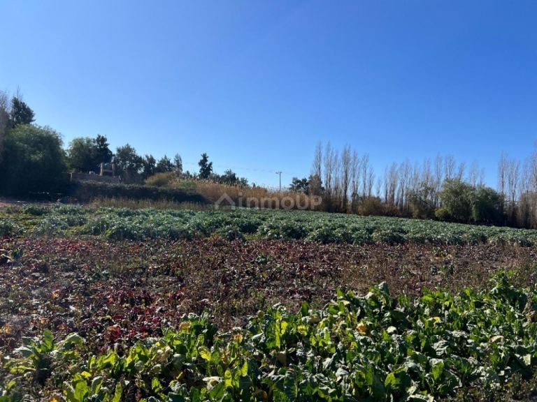 Lote en Venta en Rivadavia, San Juan