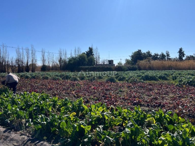 Lote en Venta en Rivadavia, San Juan