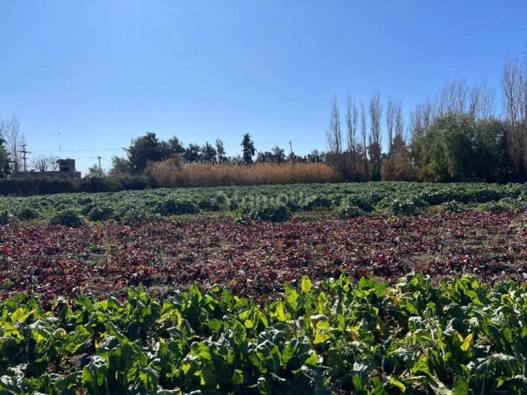 Lote en Venta en Rivadavia, San Juan
