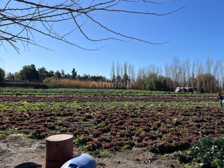Lote en Venta en Rivadavia, San Juan