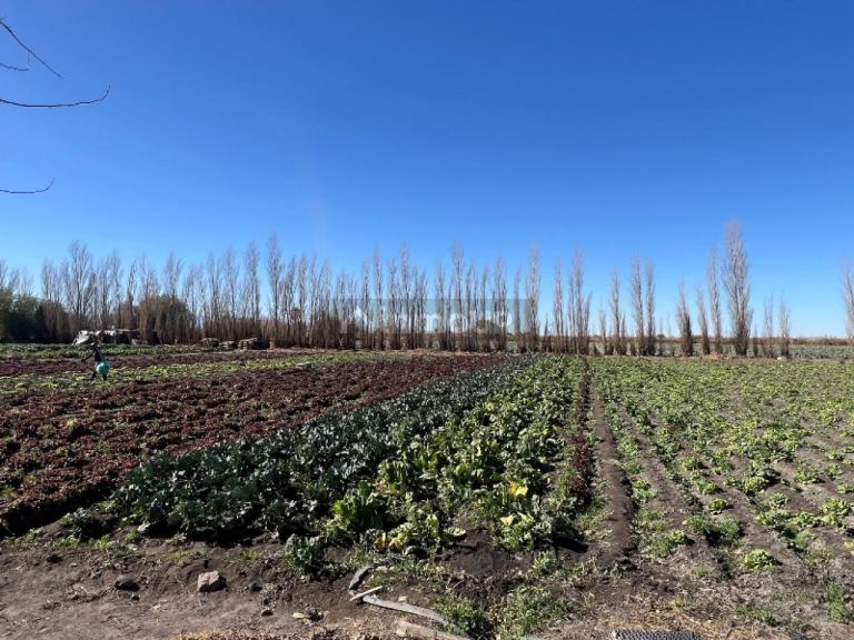 Lote en Venta en Rivadavia, San Juan