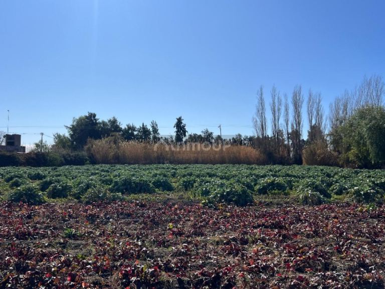 Lote en Venta en Rivadavia, San Juan