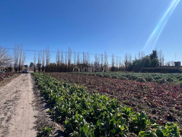 Lote en Venta en Rivadavia, San Juan