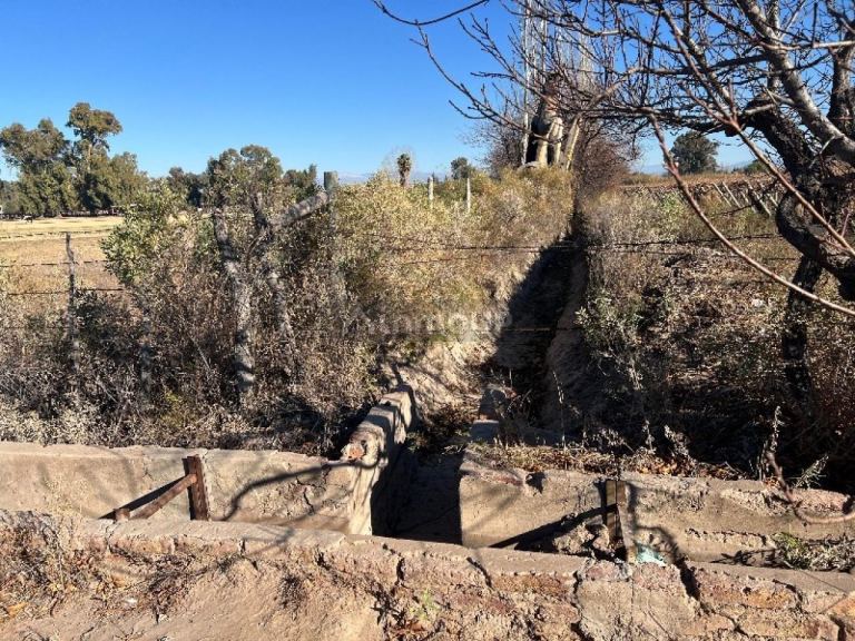 Finca en Venta en Rivadavia, San Juan