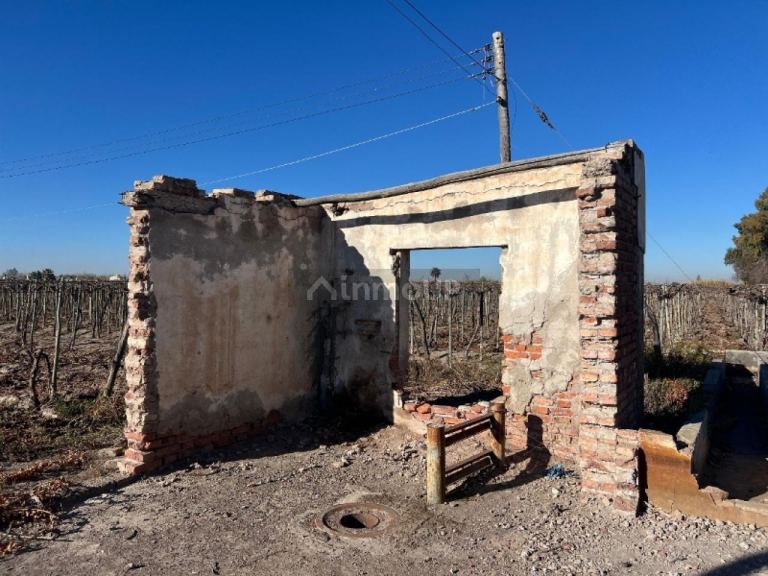 Finca en Venta en Rivadavia, San Juan