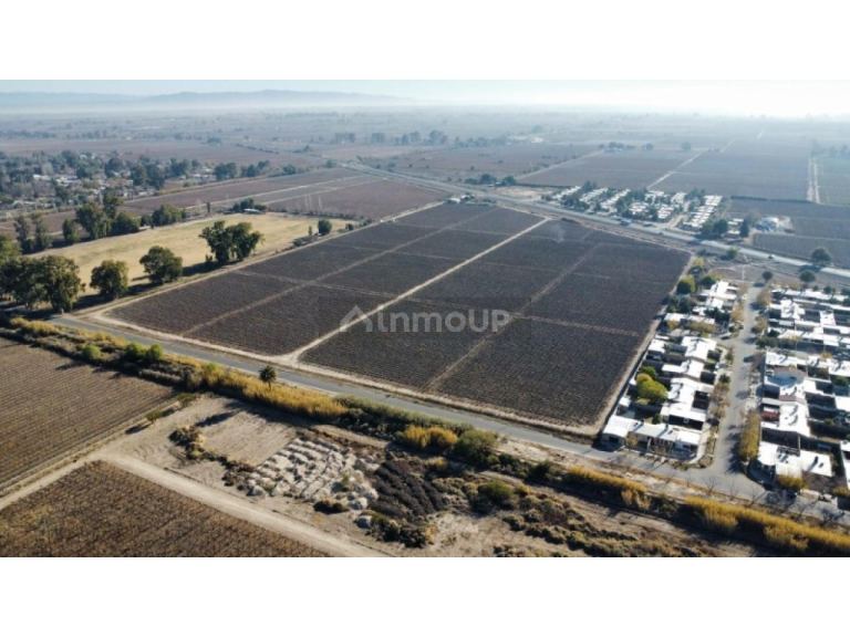 Finca en Venta en Rivadavia, San Juan
