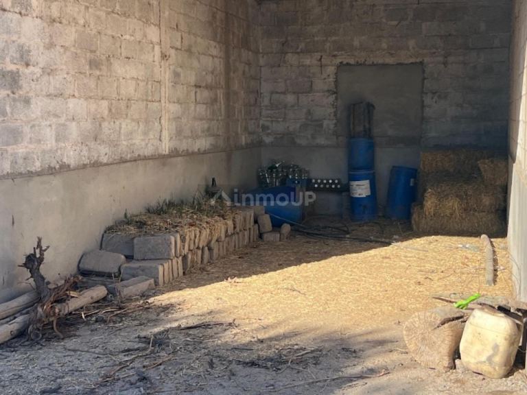 Finca en Venta en Rivadavia, San Juan