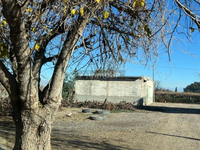 Finca en Venta en Rivadavia, San Juan
