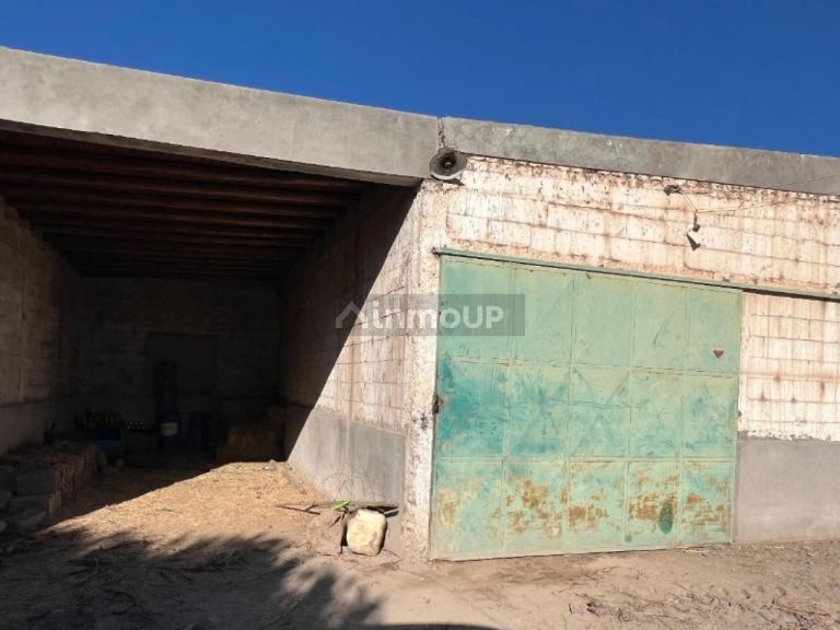 Finca en Venta en Rivadavia, San Juan