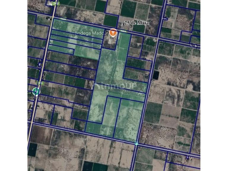 Finca en Venta en Rivadavia, San Juan
