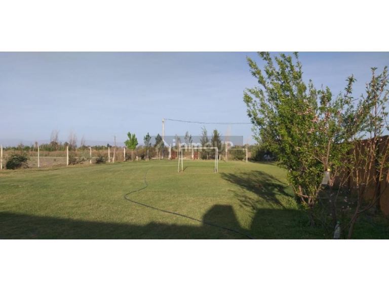 Finca en Venta en Rivadavia, San Juan