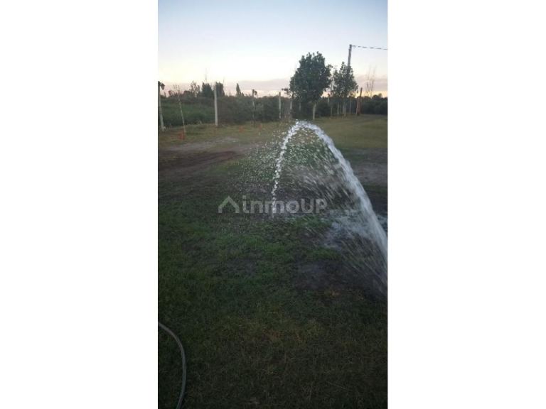 Finca en Venta en Rivadavia, San Juan