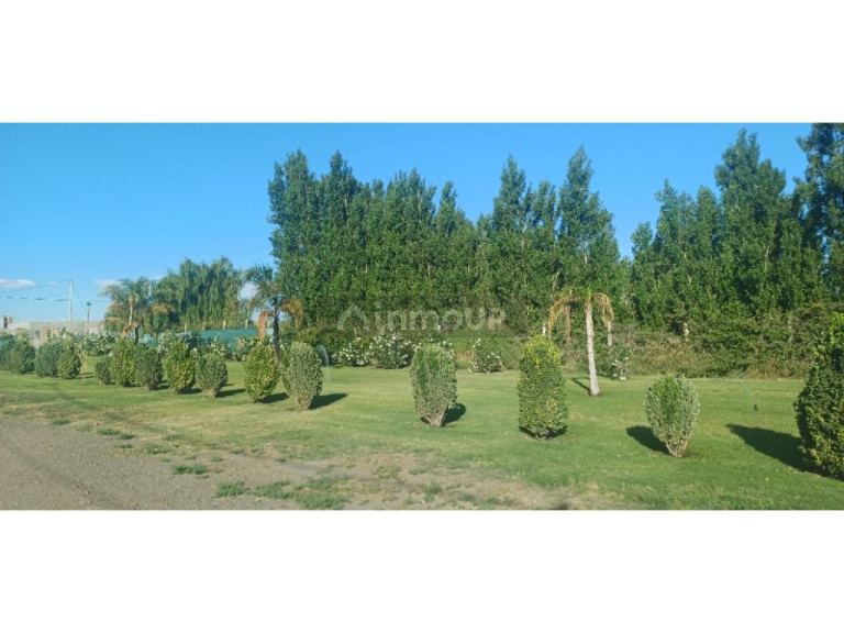 Lote en Venta en Rivadavia, San Juan