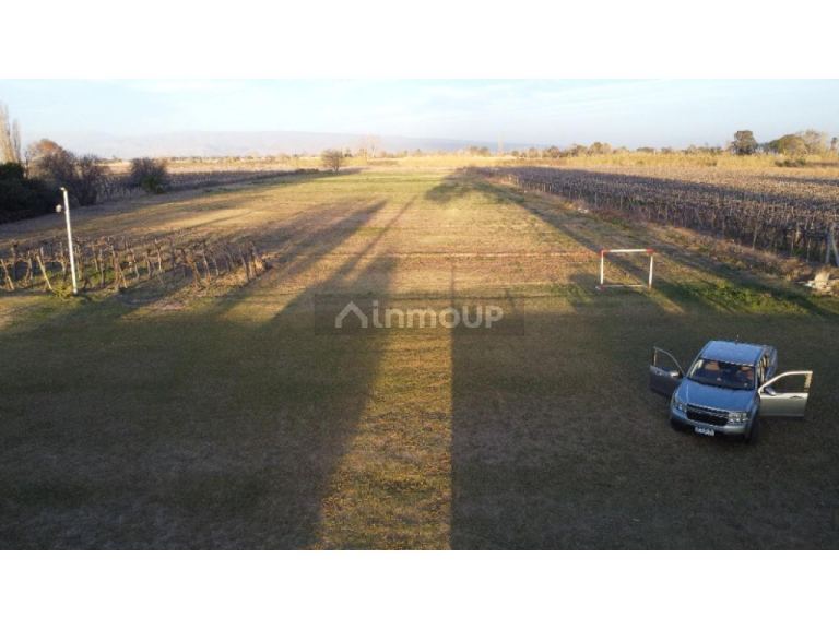 Finca en Venta en Rivadavia, San Juan