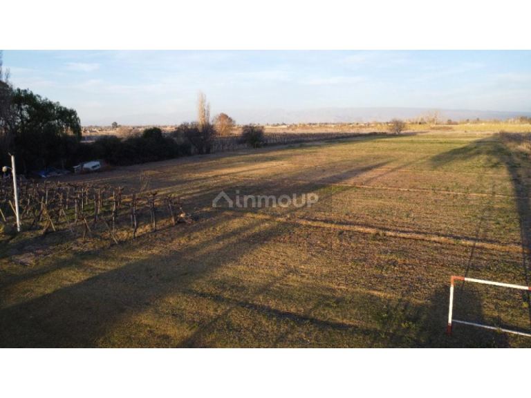 Finca en Venta en Rivadavia, San Juan
