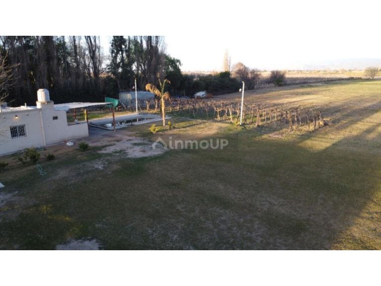Finca en Venta en Rivadavia, San Juan