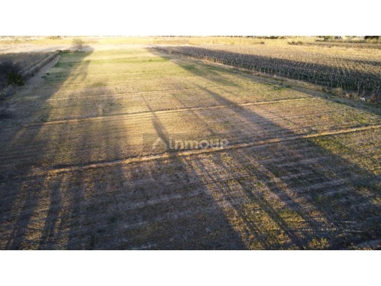 Finca en Venta en Rivadavia, San Juan