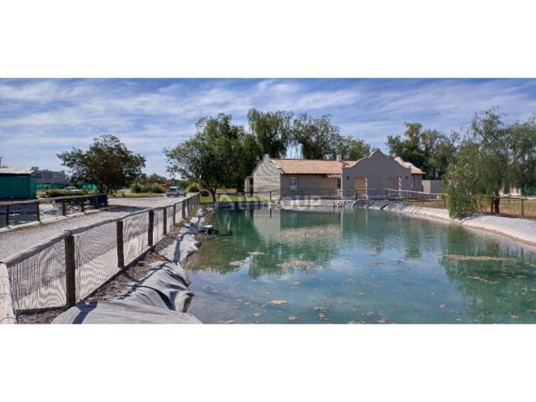 Lote en Venta en Rivadavia, San Juan
