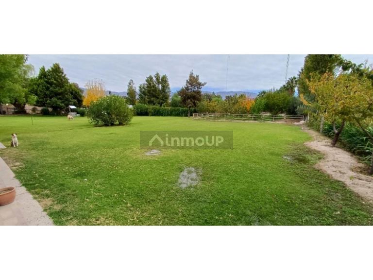 Finca en Venta en Rivadavia, San Juan