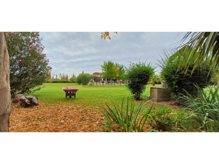 Finca en Venta en Rivadavia, San Juan