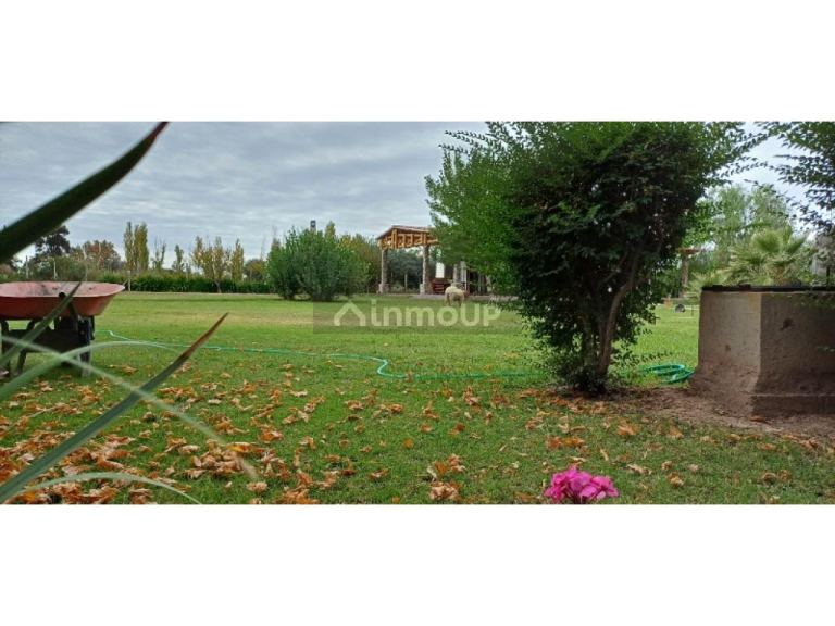Finca en Venta en Rivadavia, San Juan