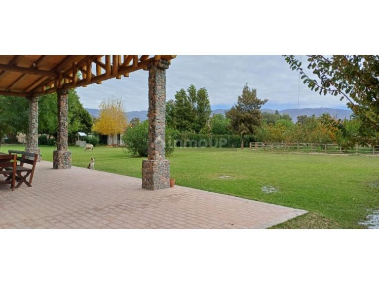 Finca en Venta en Rivadavia, San Juan