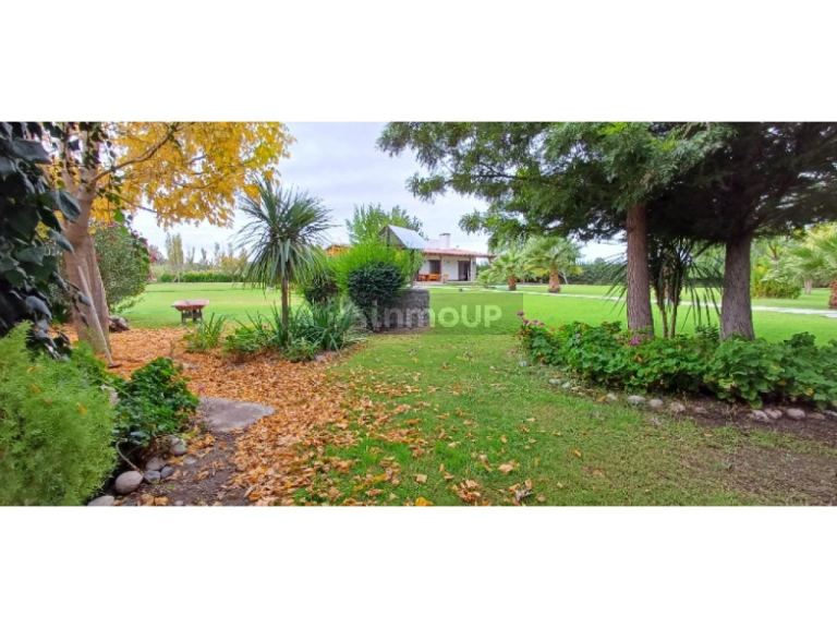 Finca en Venta en Rivadavia, San Juan