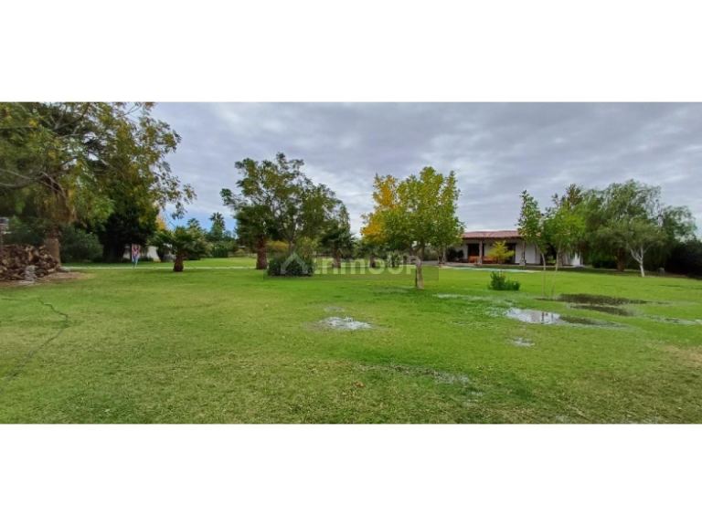 Finca en Venta en Rivadavia, San Juan