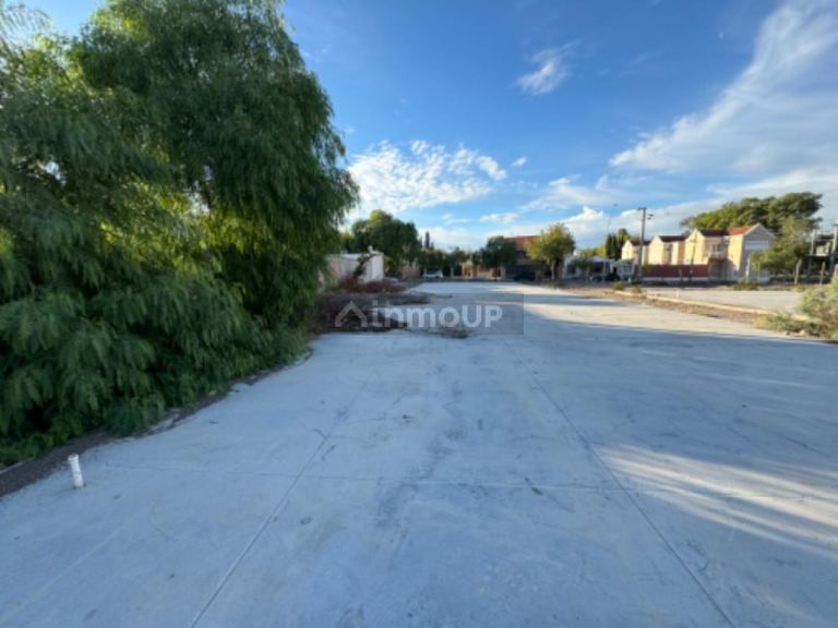 Lote en Alquiler en Rivadavia, San Juan