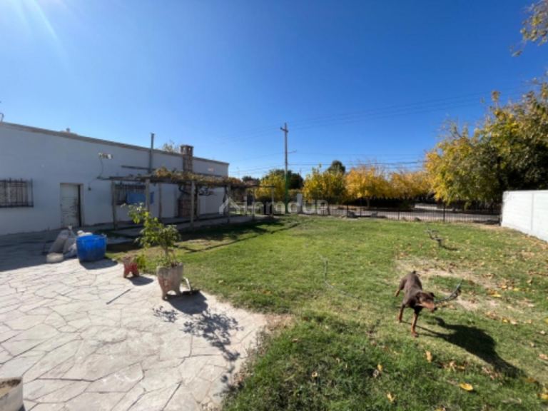 Finca en Venta en Rivadavia, San Juan