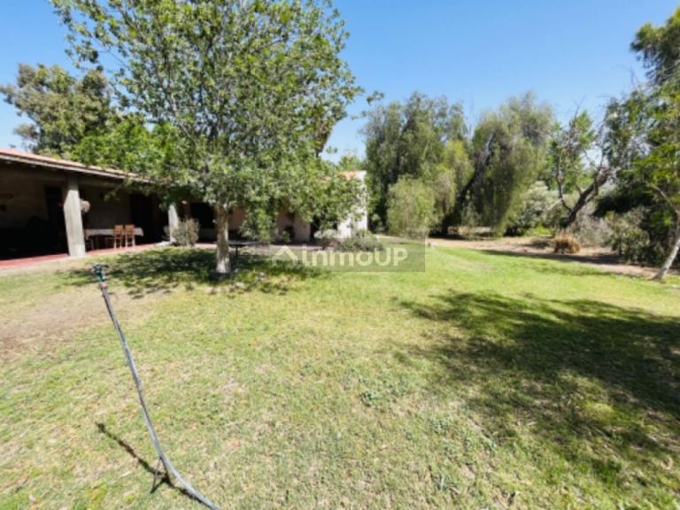 Casa en Venta en Rivadavia, San Juan