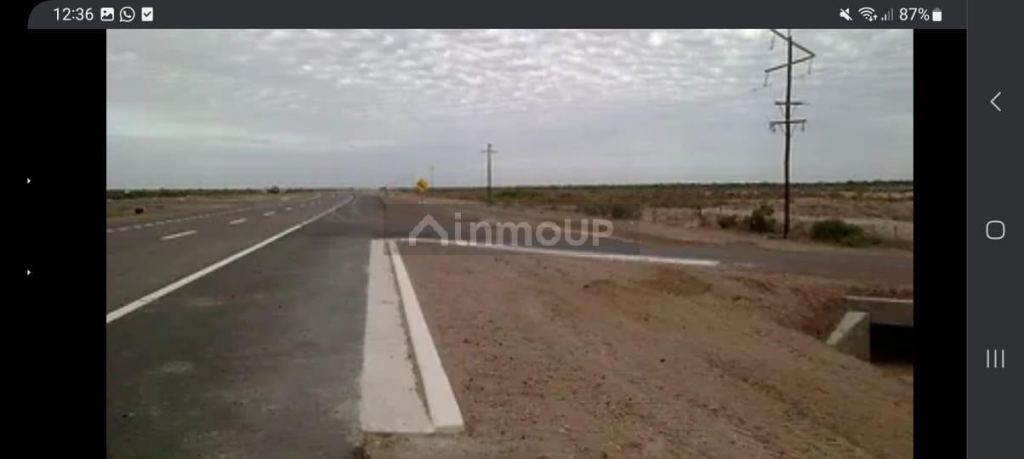 Campo en Venta en La Paz, Mendoza