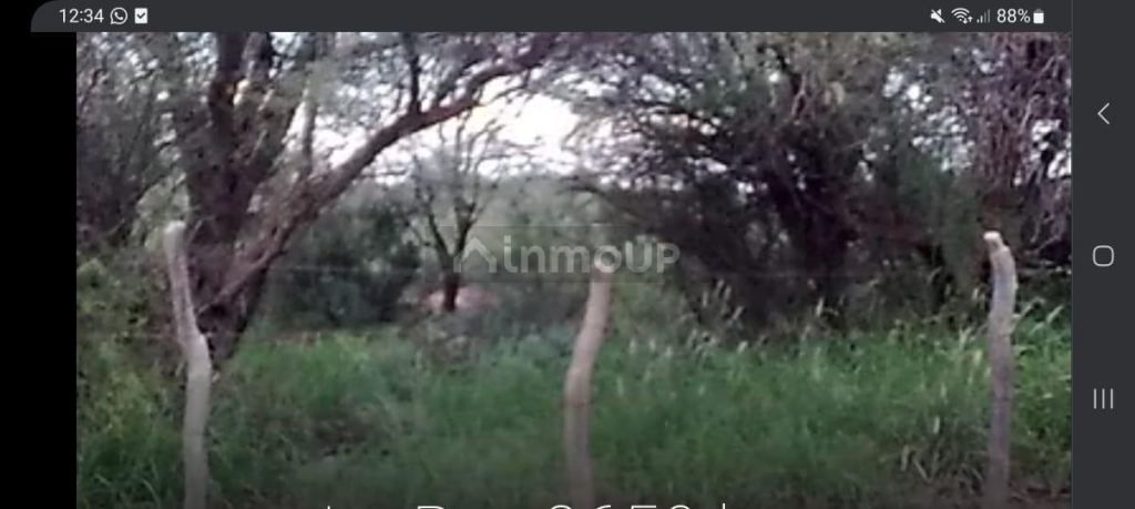Campo en Venta en La Paz, Mendoza