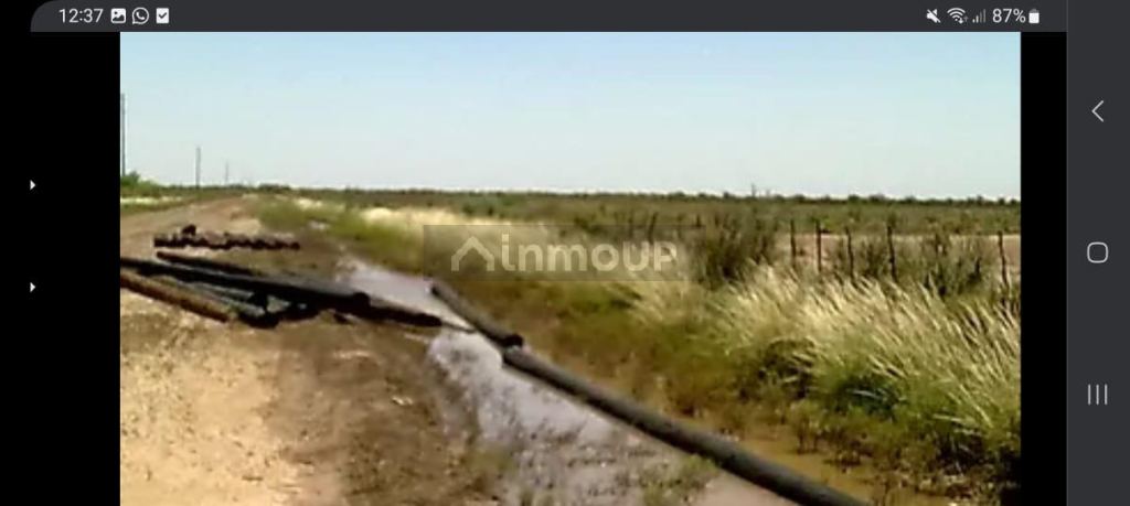 Campo en Venta en La Paz, Mendoza